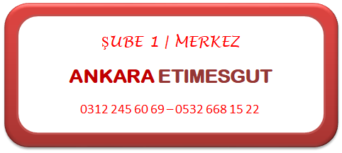 fmdanışmanlık